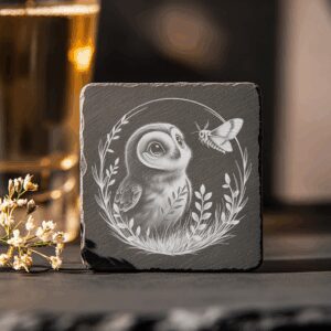 Owl and Moth Slate Coaster Engraving PNG, Unique