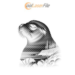 Sea Lion Art Slate Coaster Engraving Design, Wild