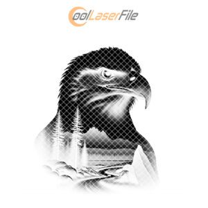 Vigilant Hawk Slate Coaster Engraving, Wild Animal Art