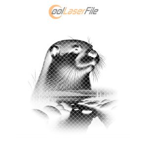 Wild Otter Double Exposure Slate Coaster Engraving PNG