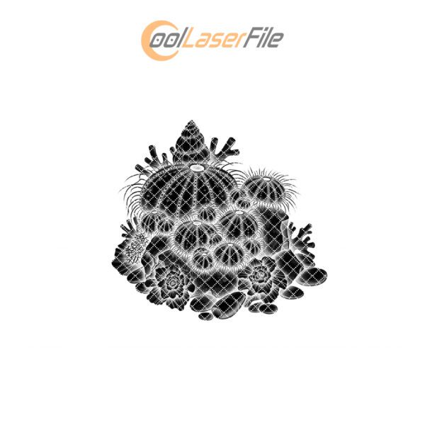 Slate Cheese Board Engraving File, Sea Urchin Family