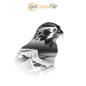 Falcon Slate Coaster Engraving File, Wild Animal Rustic