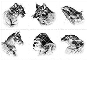 Modern Slate Coaster Engraving Design Bundle, PNG Images,