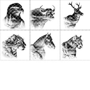 Wild Animal Double Exposure Coaster Engraving Bundle, Rustic