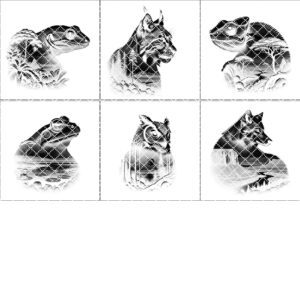 Wild Animal Double Exposure Slate Coaster Engraving Bundle,