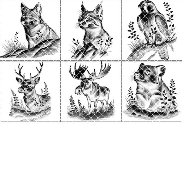 Wild Animal Slate Coaster Engraving Bundle, 6 Unique