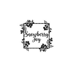 Christmas Joy Door Hanger, Snowberry Square Frame, Winter Decor Sign for Home