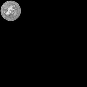 Majestic Wildlife Coin Engraving Depth Map, Bird Of Prey Laser Relief Art