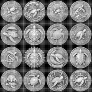 Sea Turtle 3D Relief PNG, Coin Engraving Files, Vintage Naturalist Art