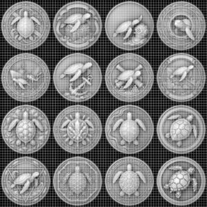 Sea Turtle 3D Relief PNG, Coin Engraving Files, Vintage Naturalist Art