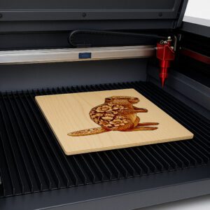 Beaver 3D Illusion Laser Engraving File, Floral Animal