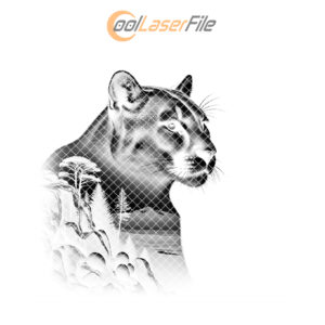 Cougar Slate Coaster Engraving PNG, Wild Animal Decor,
