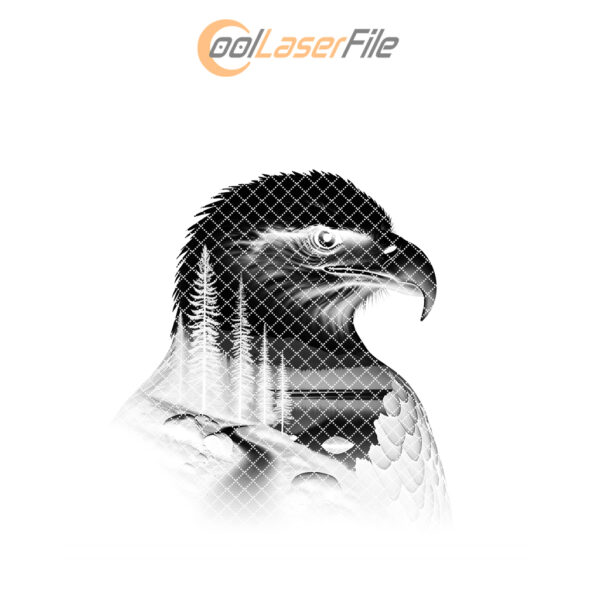 Eagle Head Forest Slate Coaster Engraving Design, PNG