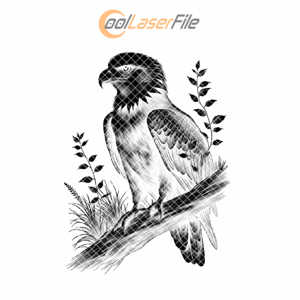 Eagle Slate Coaster Engraving PNG, Wildlife Design, Digital