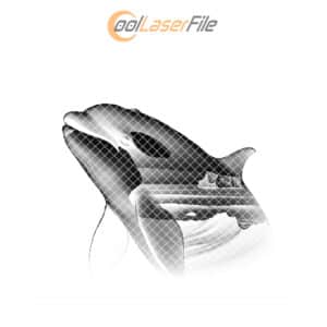 Orca Double Exposure Slate Coaster Engraving Design, Wild