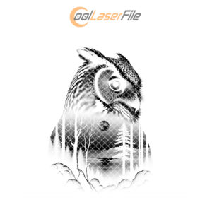 Owl Slate Coaster Design, Wild Animal Laser Engraving