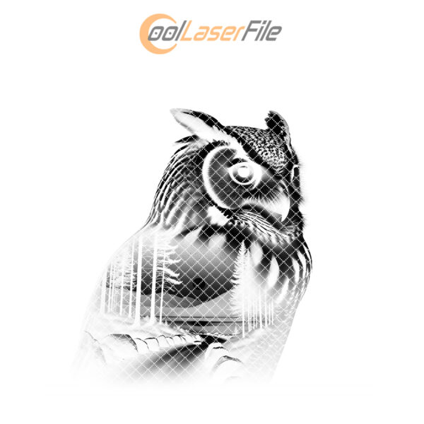 Wild Owl Laser Engraving File, Slate Coaster PNG,