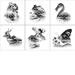Wild Animal Double Exposure Bundle, Slate Coaster Engraving